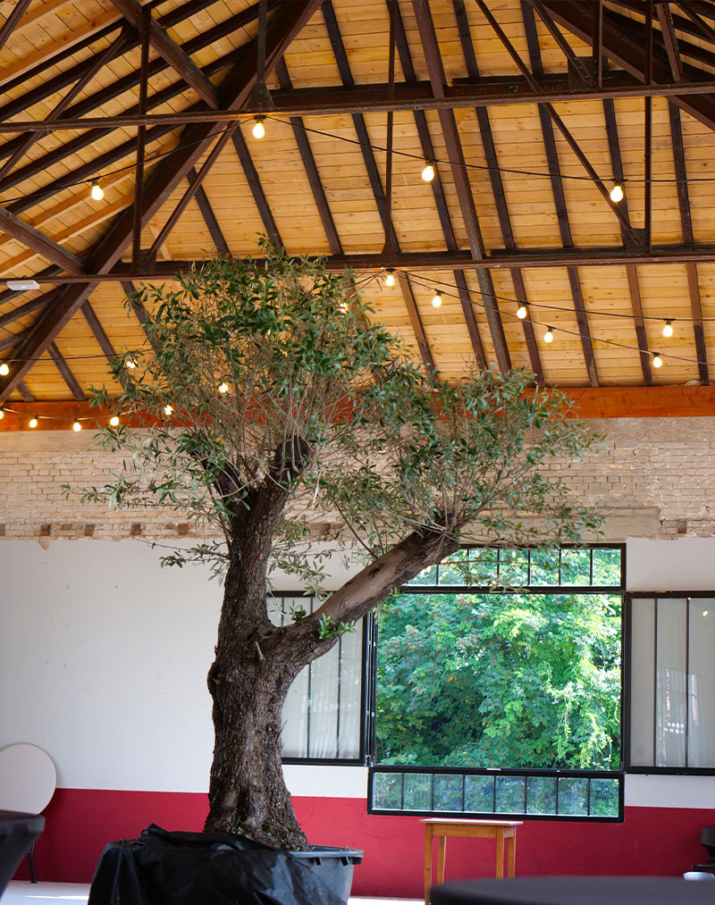 Salle-de-reception